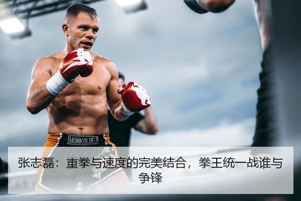 张志磊：重拳与速度的完美结合，拳王统一战谁与争锋