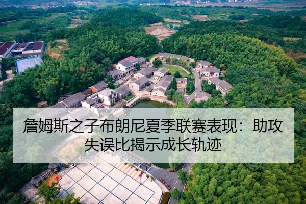 詹姆斯之子布朗尼夏季联赛表现：助攻失误比揭示成长轨迹