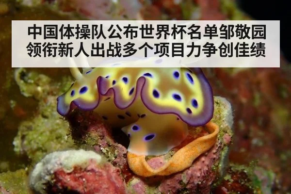 中国体操队公布世界杯名单邹敬园领衔新人出战多个项目力争创佳绩